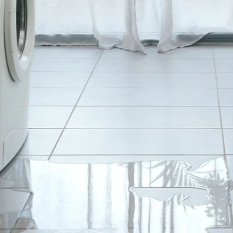 Appliance Leak Cleanup in Washington County, MS