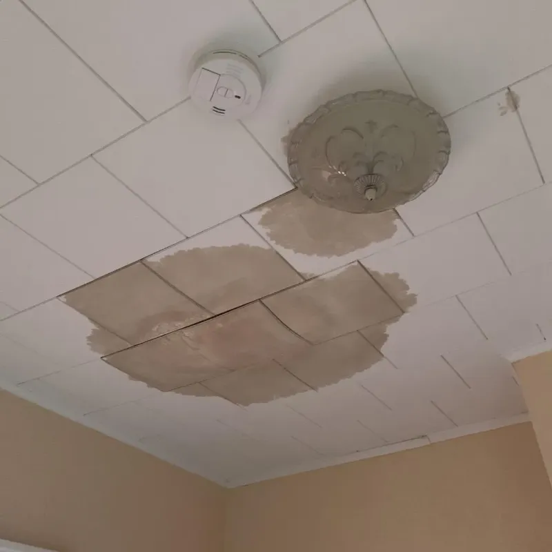 Ceiling Water Damage Repair in Washington County, MS