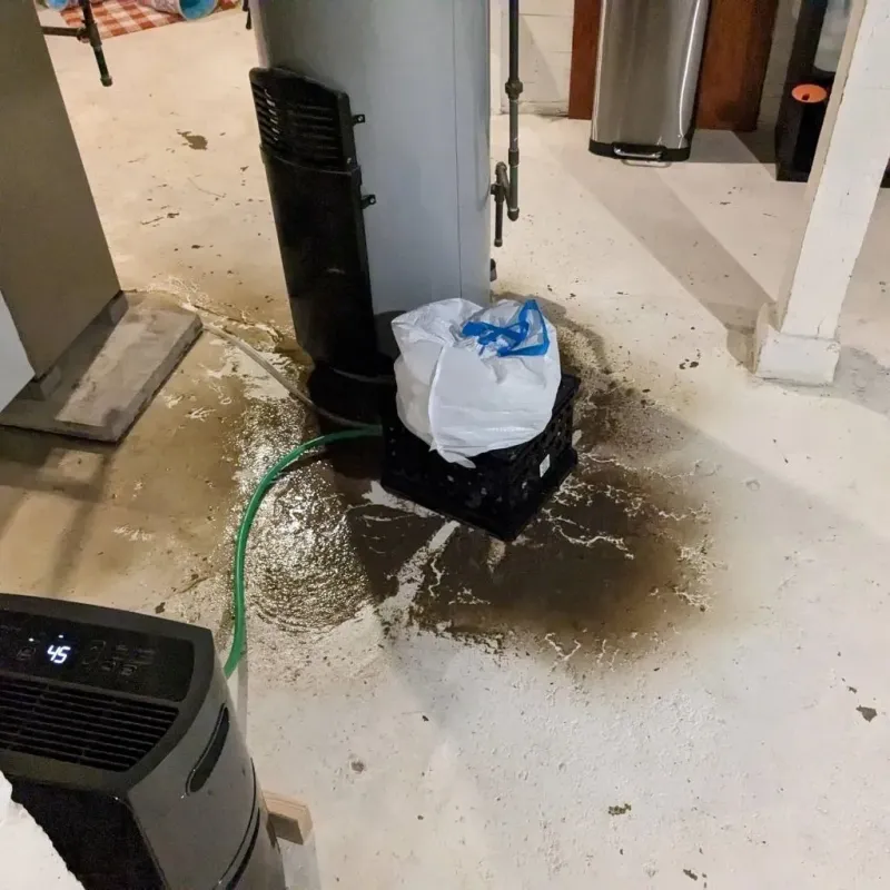Sewage Backup Cleanup Service in Washington County, MS